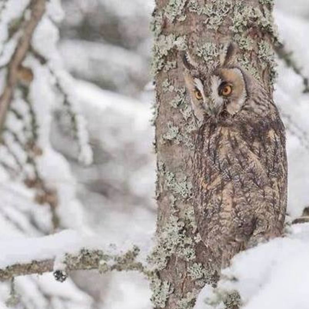 Meet your Posher, Kenny